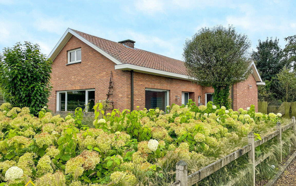 Bungalow te huur in Affligem