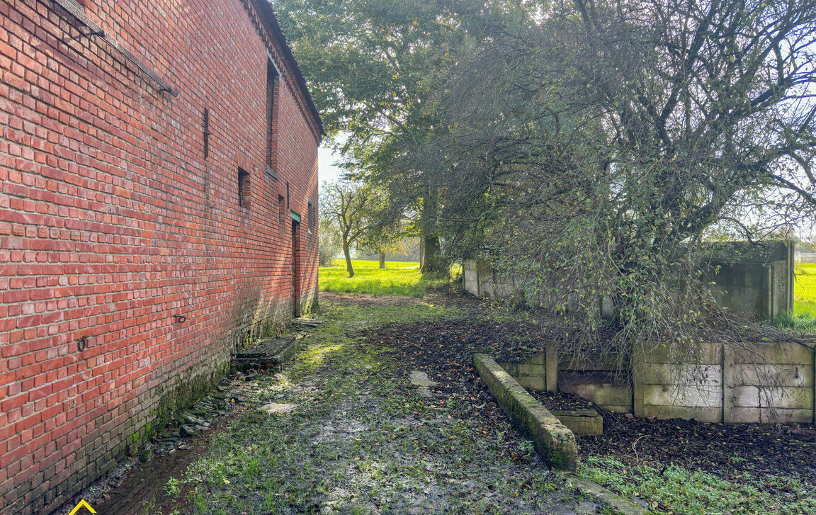 Hoeve te koop in Moorsel