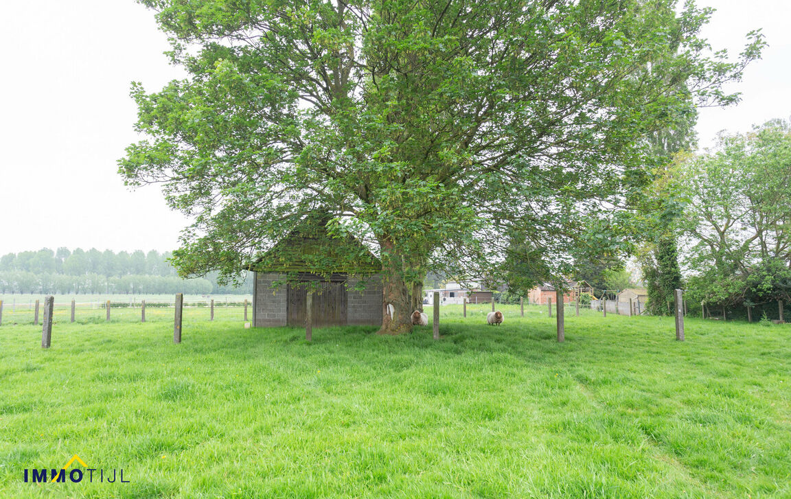 Huis te koop in Buggenhout