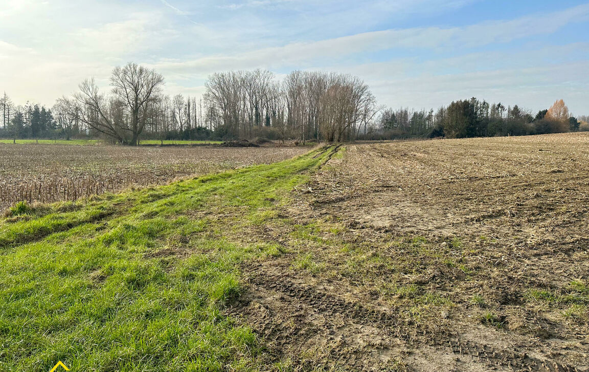 Landbouwgrond te koop in Moorsel