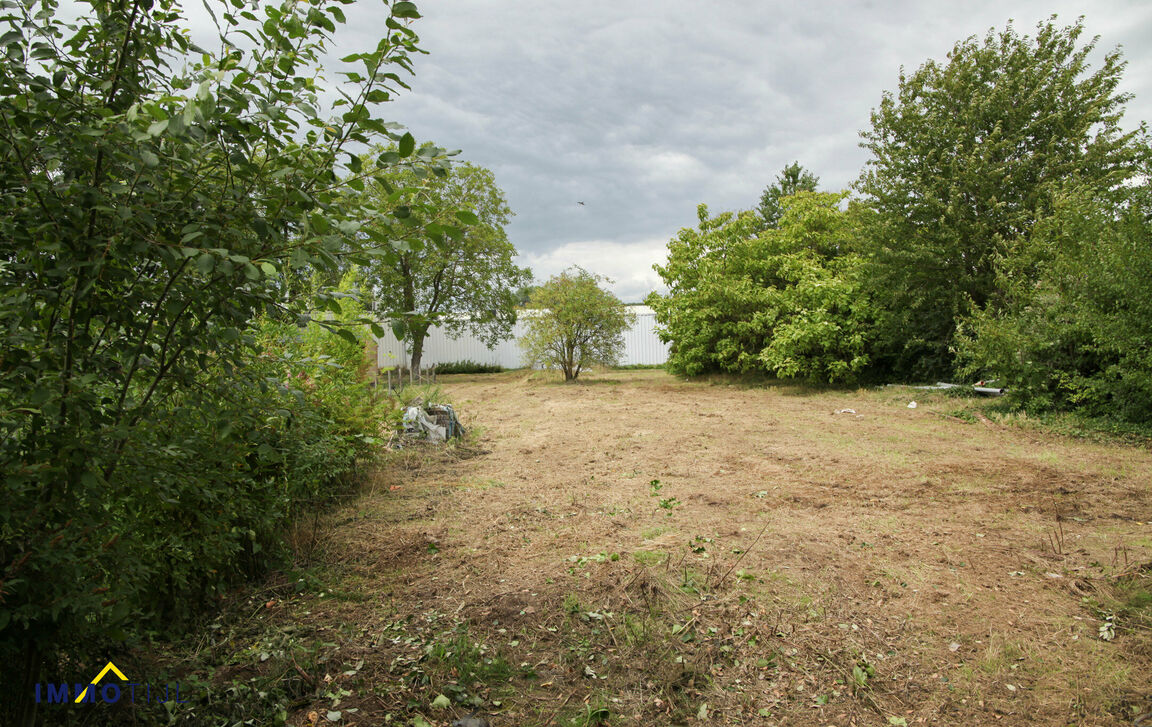 Winkelpand te koop in Denderleeuw